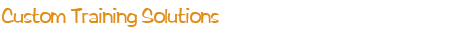 Custom Training Solutions